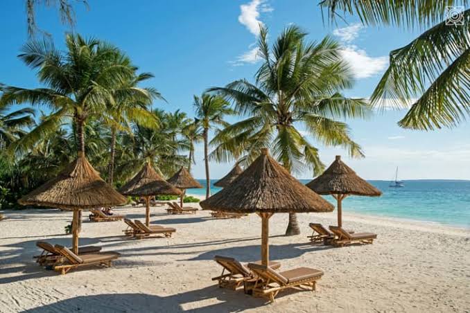 Tanzania Honeymoon Safari & Zanzibar | Generous Tours & Safaris gallery 2